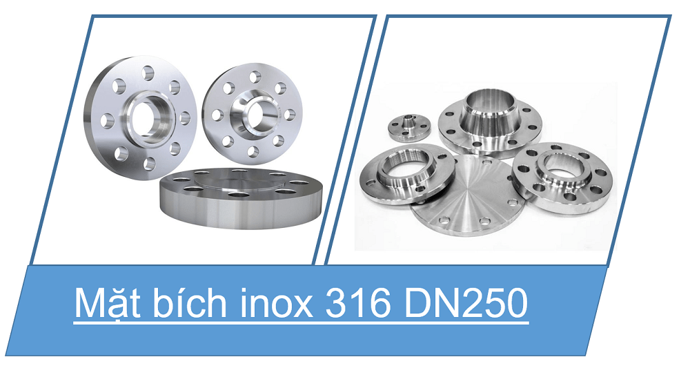 mặt bích inox 316 DN 250 5