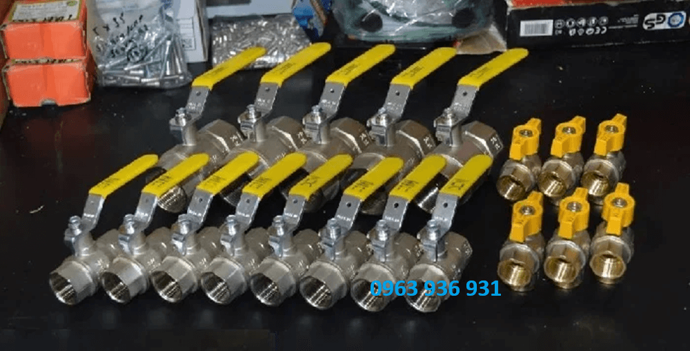 van bi ren inox 316 dn25 3